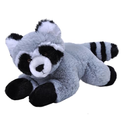 Wild Republic Ecokins Mini Waschbär, Kuscheltier aus Stoff, Nachhaltiges Spielzeug, Baby Geschenk zur Geburt von Jungen und Mädchen, Stofftier 20 cm von WILD REPUBLIC