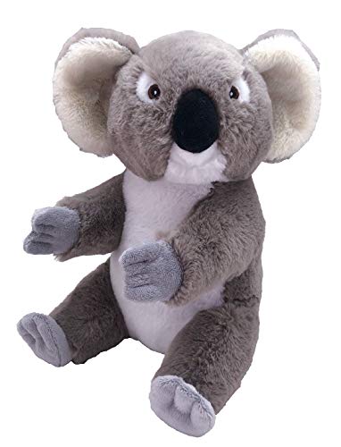 Wild Republic Ecokins Koala, Kuscheltier aus Stoff, Nachhaltiges Spielzeug, Baby Geschenk zur Geburt von Jungen und Mädchen, Stofftier 30 cm von WILD REPUBLIC