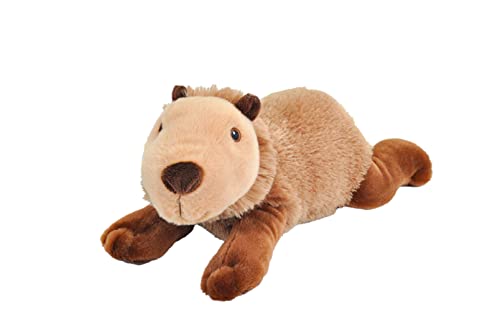 Wild Republic Ecokins Wasserschwein, Kuscheltier aus Stoff, Nachhaltiges Spielzeug, Baby Geschenk zur Geburt von Jungen und Mädchen, Stofftier 30 cm von WILD REPUBLIC