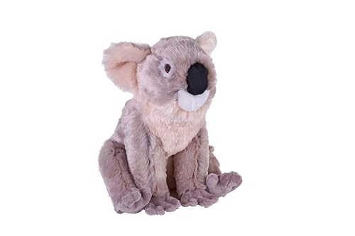 Wild Republic Cuddlekins Eco Koala, Kuscheltier, 30 cm, Plüschtier, Füllung besteht aus gesponnenen recycelten Wasserflaschen, umweltfreundlich von WILD REPUBLIC