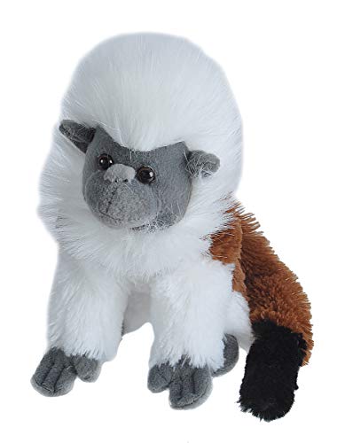 Wild Republic 12277 Plüsch, braun-weiß, 30 cm, Cottontop Tamarin von WILD REPUBLIC