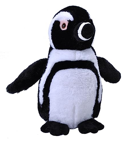 Wild Republic Ecokins Schwarzer Fußpinguin, Kuscheltier aus Stoff, Nachhaltiges Spielzeug, Baby Geschenk zur Geburt von Jungen und Mädchen, Stofftier 30 cm von WILD REPUBLIC