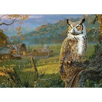 Edge of the Night 1000-Piece Puzzle von Willow Creek Press