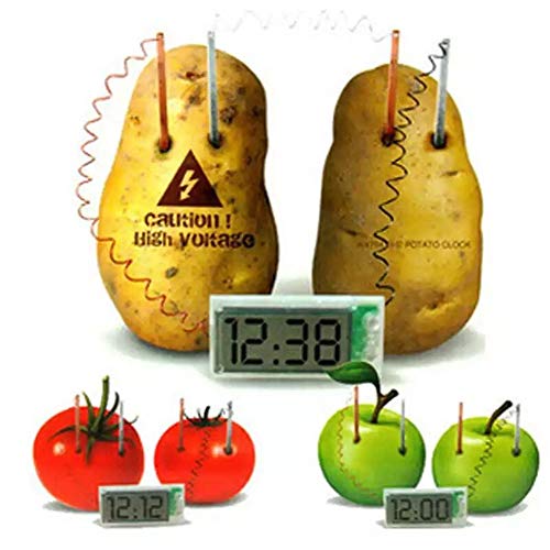 Wination Potato Clock Science Kit Kinder Kreatives Lernspielzeug Physik Experiment Ausrüstung von Wination