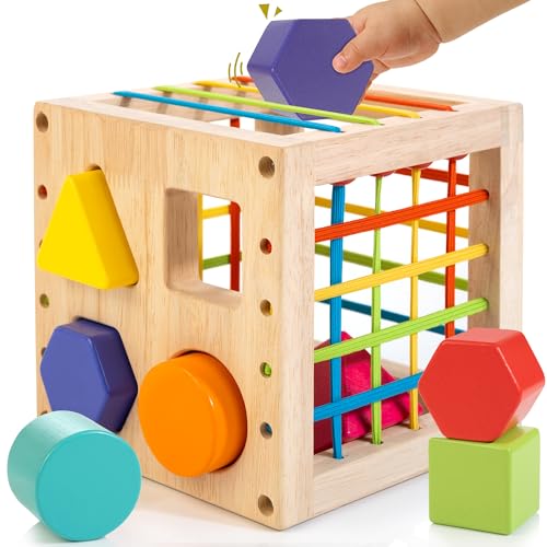 Winique Formsortier-Holzspielzeug ab 1 Jahr, Montessori sensorisches Spielzeug, Babyblöcke, Feinmotorik Sortierspiele für frühes Lernen, Geschenk für Kleinkinder Jungen Mädchen ab 12 Monate von Winique