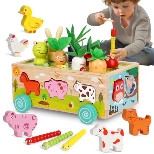 Winnrok Montessori Spielzeug ab 1 2 3 Jahr, Karotten Steckspiel Holz Motorikspielzeug, Sortierspiel Holzspielzeug Kinder, Lernspielzeug Geschenk Baby Junge Mädchen, Motorik Spielsachen für Einjährige von Winnrok