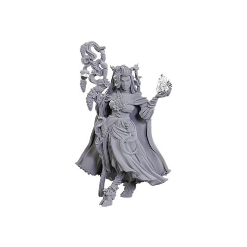 WizKids Critical Role Unpainted Miniatures: Fearne Calloway & Mister | Unlackierte Miniaturen | Wave 23 von WizKids