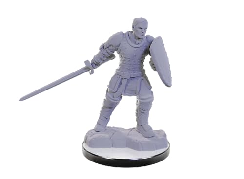 WizKids D&D Nolzur's Marvelous Miniatures: Reborn Paladin & Warlock Dungeons and Dragons Unpainted Miniatures von WizKids