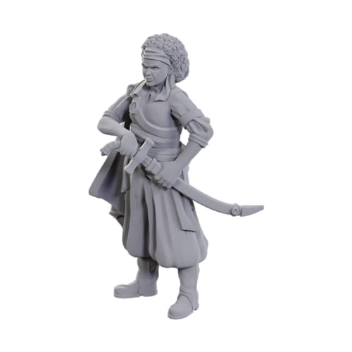 WizKids Dungeons & Dragons Nolzur's Marvelous Miniatures Ansalon Human Rogue | Unlackierte Miniaturen | Wave 23 von WizKids