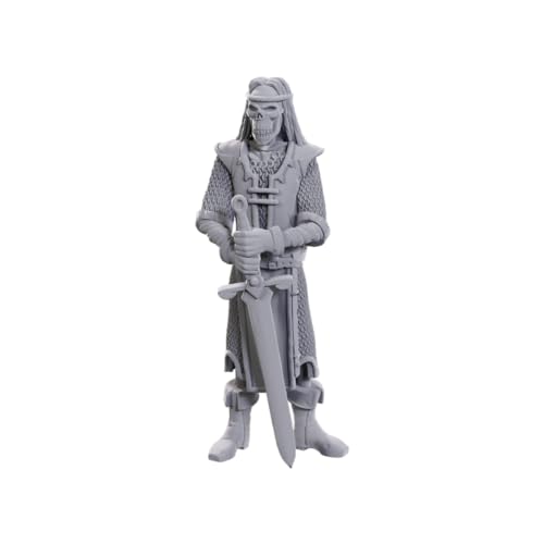 WizKids Dungeons & Dragons Nolzur's Marvelous Miniatures: Skelettritter, unbemalte Miniaturen, 50. Jubiläum von WizKids