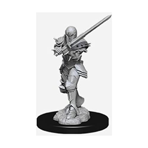 WizKids WZK73705 Zubehör von Dungeons & Dragons