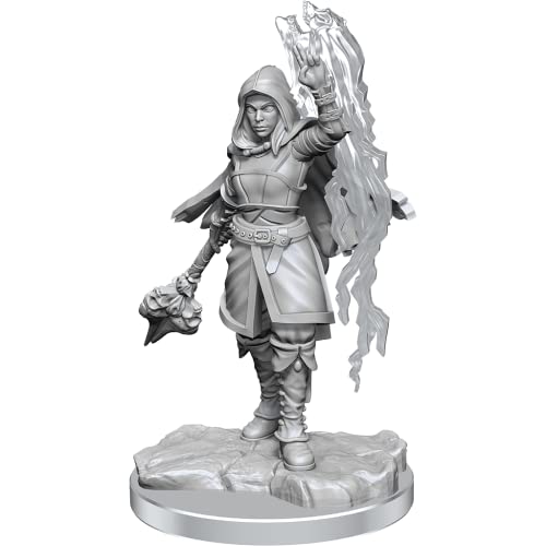 Wizkids D&D Nolzurs Marvelous Half-Elf Warlock Miniatures von WizKids