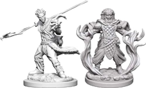 WizKids WZK72639 D&D Nolzurs Marvelous Unpainted Miniatures: Wave 3: Human Male Dungeons_&_Dragons Zubehör, Druide (V2) von Dungeons & Dragons