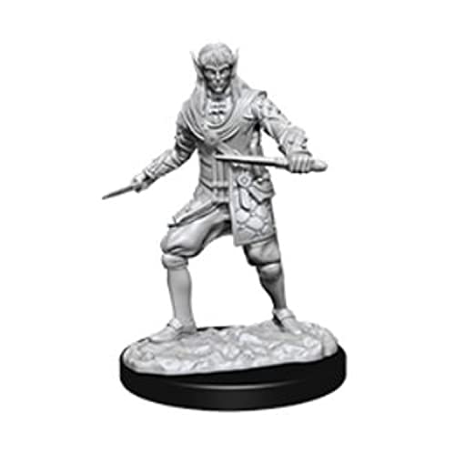 WizKids Pathfinder Battles Deep Cuts - Male Elf Rogue (6 Units) von WizKids