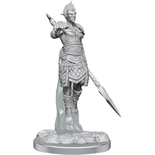 Wizkids D&D Nolzurs Marvelous Sea Elf Fighters Miniaturen von WizKids