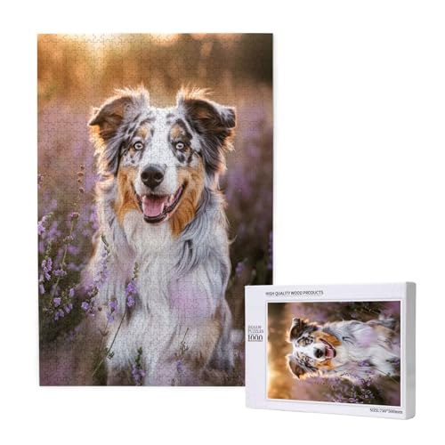 Hund Puzzle 1000 Teile Erwachsene, DIY Lavendel Puzzle Design für Erwachsene und Kinder ab 5 Jahren, HD Farbe Puzzel mit Geschenkbox Verpackung for Zimmer Deko Wohnzimmer, Geschenke für Frauen -9269 von Wjffnzbz