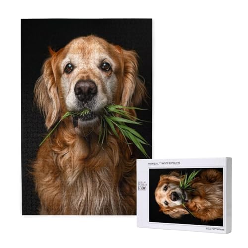 Hund Puzzle 500 Teile Erwachsene, DIY Gras Puzzle Design für Erwachsene und Kinder ab 5 Jahren, HD Farbe Puzzel mit Geschenkbox Verpackung for Wand Zimmer Deko Wohnzimmer, Geschenke für Frauen -9873 von Wjffnzbz