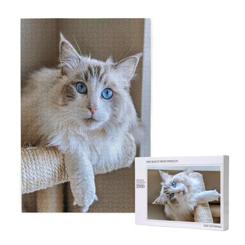 Katze Puzzle 300 Teile Erwachsene, DIY Niedlich Puzzle Design für Erwachsene und Kinder ab 5 Jahren, HD Farbe Puzzel mit Geschenkbox Verpackung for Zimmer Deko Wohnzimmer, Geschenke für Frauen -8412 von Wjffnzbz