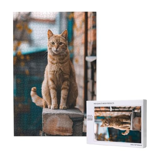 Katze Puzzle 500 Teile Erwachsene, 5D DIY orange Puzzle Design für Erwachsene und Kinder ab 5 Jahren, HD Farbe Puzzel mit Geschenkbox Verpackung for Zimmer Deko Wohnzimmer, Geschenke für Frauen -9293 von Wjffnzbz