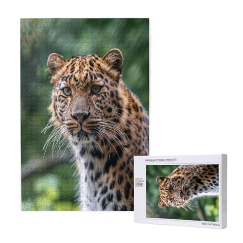 Leopard Puzzle 300 Teile Erwachsene, 5D DIY Tier Puzzle Design für Erwachsene und Kinder ab 5 Jahren, HD Farbe Puzzel mit Geschenkbox Verpackung for Zimmer Deko Wohnzimmer, Geschenke für Frauen -9312 von Wjffnzbz