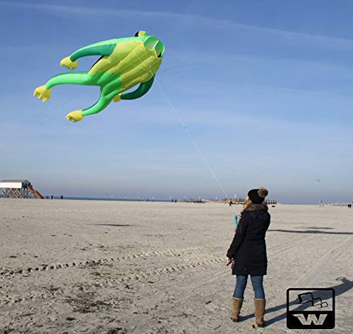 Wolkenstürmer® Einleiner Flugdrachen Fritz The Frog XL Grün Drachen für Einsteiger - 3D Drachen von Wolkenstürmer