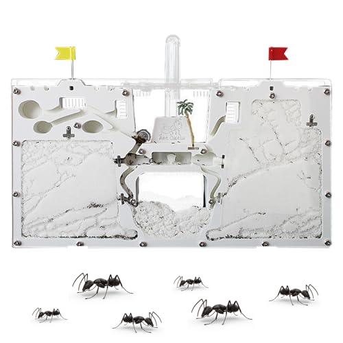 Ant Farm Castle, Ameisenbauern mit Sand & Werkzeug Kit, Ant -Kolonie -Beobachtung Science Kit, Ameise Viewing Habitat Educational & Lernspielzeug für Kinder Erwachsene, keine Ameisen & Ameisenfutter, von Womsclo