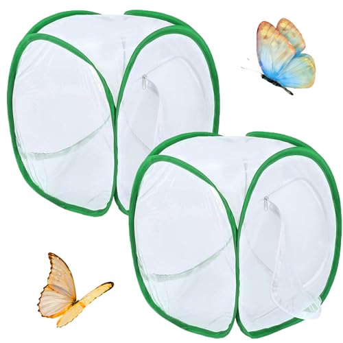 Butterfly Cage 2pcs Schmetterlingslebensraum Cage 12x12x12 '' faltbarer Schmetterlingshaus Schmetterling Garten Popup Mesh Zelt Net Raupen für Schmetterlingskit für Kindererziehung, Schmetterling Käf von Womsclo