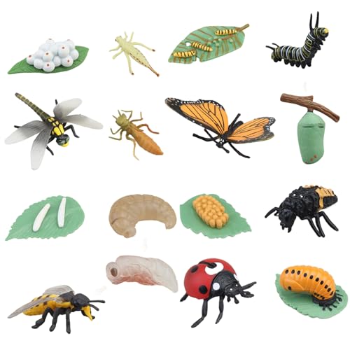 Lebenszyklusspielzeug für Kinder, 4 Sätze A Bugs Life Toys umfassen Schmetterling, Honigbiene, Libelle und Marienkäfer, Plastikwanzen, frühe Bildungstierfiguren, Lebenszyklusspielzeug für Kinder, Tie von Womsclo