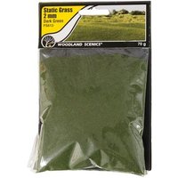 WOODLAND SCENICS WFS613 2 mm Static Grass Dark Green von Woodland Scenics