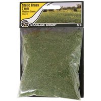 WOODLAND SCENICS WFS622 7 mm Static Grass Medium Green von Woodland Scenics