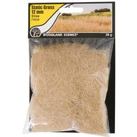 WOODLAND SCENICS WFS628 12 mm Static Grass Straw von Woodland Scenics