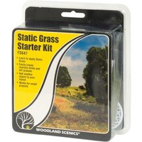 WOODLAND SCENICS WFS647 Static Grass Starter Kit von Woodland Scenics