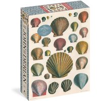 John Derian Paper Goods: Shells 1,000-Piece Puzzle von Artisan Publishers