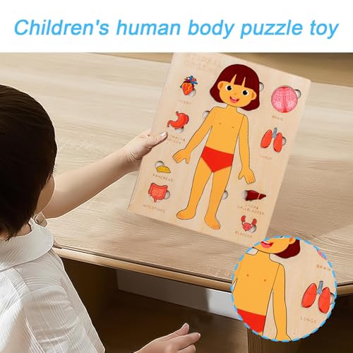 Körperteile Buch Für Kleinkinder 1-3 | Pädagogisches Holzpuzzle Vom Menschlichen Körper,Wissenschaftliches Spielzeug Für Kleinkinder Und Kinder Mädchen Kindergarten Schule Unterricht Körperteile Buch Für Kleinkinder 1-3 | Pädagogisches Holzpuzzle Vom Menschlichen Körper,Wissenschaftliches Spielzeug Für Kleinkinder Und Kinder Mädchen Kindergarten Schule Unterricht von Wpsagek