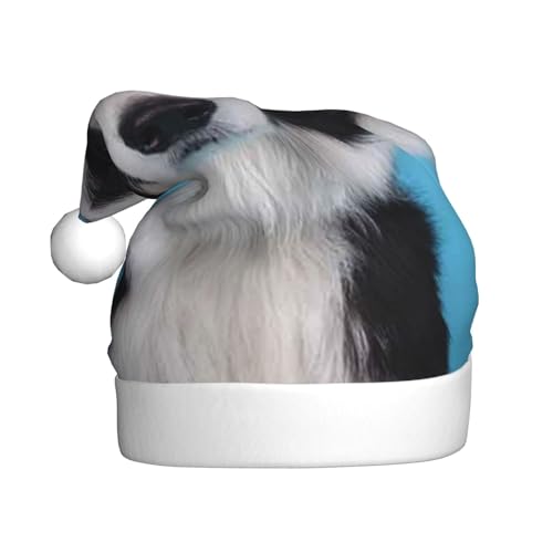 Wquvmds Border Collie Weihnachtsmannmütze, Weihnachtsmütze, Urlaub für Erwachsene, Unisex, Weihnachtsmannmütze, Plüschmütze von Wquvmds