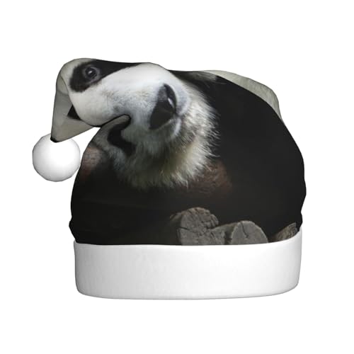 Wquvmds Lovely Pandas Weihnachtsmannmütze, Weihnachtsmütze, Urlaub für Erwachsene, Unisex, Weihnachtsmannmütze, Plüschmütze von Wquvmds