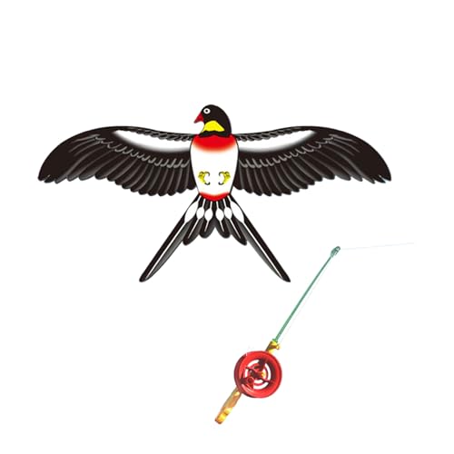 Wsdsgz Dynamische Flügel Kites Fliegende Drachen Fischereist Rod Kinder Strand Fliegen Kites Urlaub Freien Hinterhof Kites Spielzeug Family Aktivität Aktivität von Wsdsgz