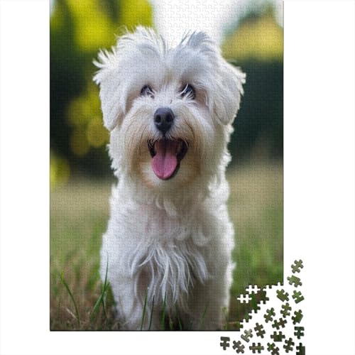 Maltese Hund Puzzle 1000 Teile Puzzle Für Erwachsene Und Kinder Ab 14 Jahren Puzzel 1000pcs (75x50cm) von WudAnghao