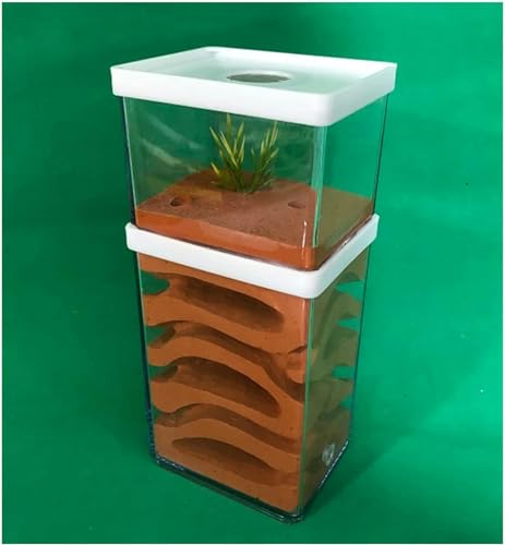 AntHouse Ameisennest Box Insektenkäfig Gips Ant Farm Insekt Villa Educational Formicarium Habitat Für Haus Ameisen Geburtstagsgeschenk-1 von XENITE