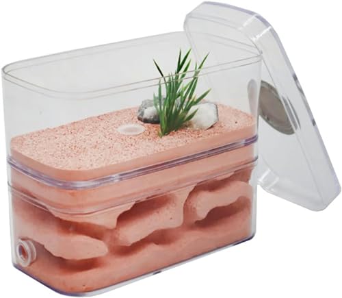 Gips Ameisenfarm Ameisennest Formicarium Display Box Fütterungshaus Für Ameisen Insekten Züchten Haus Ameisen Farmen Set Villa Ant Nest Geburtstagsgeschenk Geschenk-1 von XENITE