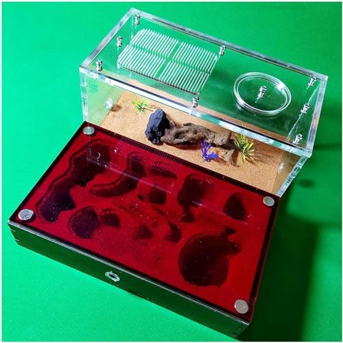 Großes Ameisennest Acryl Ameisenfarm Ameisen Haus Gips Insektenvilla Ameisenhaufen Ant Nest Pet Farmen Kit Formicarium Display Box Wissenschaft Bildungs (Color : A)-1 von XENITE