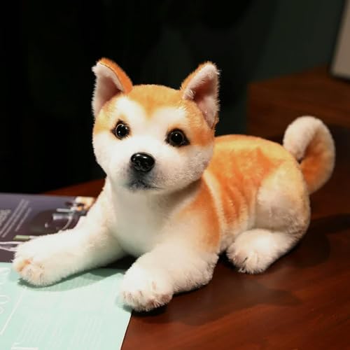 XIAOSHILIU Lebensechte Akita Hund Plüschtier Plüschtier Niedliche Simulation Welpe Flauschige Babypuppe Geburtstagsgeschenke für Kinder 30cm B von XIAOSHILIU