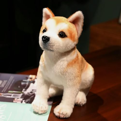 XIAOSHILIU Lebensechte Akita Hund Plüschtier Plüschtier Niedliche Simulation Welpe Flauschige Babypuppe Geburtstagsgeschenke für Kinder 30cm C von XIAOSHILIU