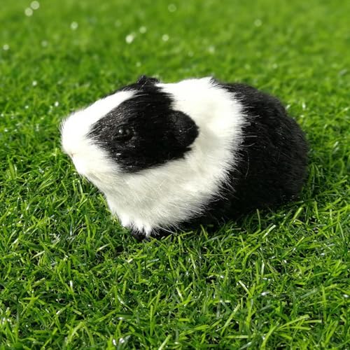 XIAOSHILIU Simulation Pelz Meerschweinchen Tier Plüsch Plüschpuppe Hamster Puppe Plüschtier Weiches Stofftier Figur für Kinder Geburtstagsgeschenk 12cm 2 von XIAOSHILIU