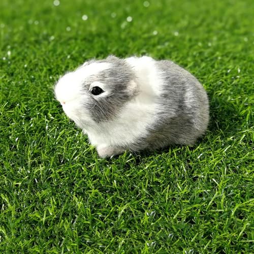 XIAOSHILIU Simulation Pelz Meerschweinchen Tier Plüsch Plüschpuppe Hamster Puppe Plüschtier Weiches Stofftier Figur für Kinder Geburtstagsgeschenk 12cm 3 von XIAOSHILIU