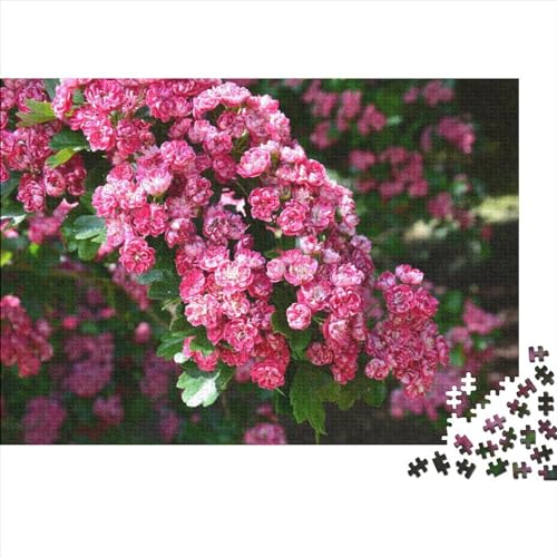 Blumen Holzpuzzle Erwachsene, Pflanzen Magische Holzpuzzle Für Erwachsene Wooden Puzzle Erwachsene 1000pcs (75x50cm) von XINCHENMM