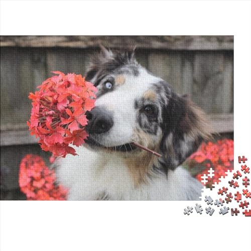 Hunde Puzzle 500 Teile Klassische Puzzle Erwachsene Haustiere Puzzle DIY Kit Holzspielzeug Einzigartiges Geschenk Moderne Wohnkultur 500pcs (52x38cm) von XINCHENMM