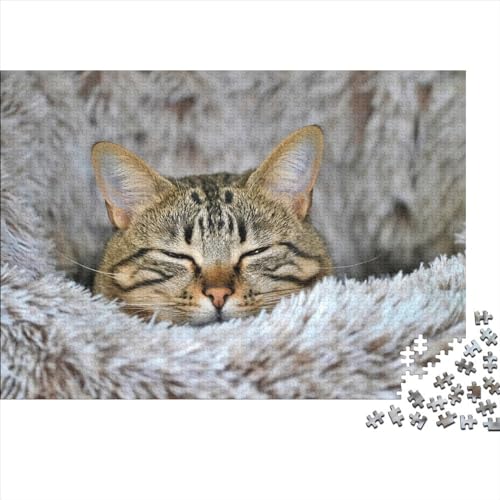 Katze Holzpuzzle Erwachsene, Haustiere Magische Holzpuzzle Für Erwachsene Wooden Puzzle Erwachsene 1000pcs (75x50cm) von XINCHENMM