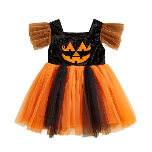 XIXIMAON Halloween-Kleid für Mädchen, Kürbis, Geist, Prinzessinnenkleid, Tutu, Tüll, Langarm, Halloween-Kostüm, Partyoutfit, Schwarz / Orange, 18-24 Monate XIXIMAON Halloween-Kleid für Mädchen, Kürbis, Geist, Prinzessinnenkleid, Tutu, Tüll, Langarm, Halloween-Kostüm, Partyoutfit, Schwarz / Orange, 18-24 Monate von XIXIMAON