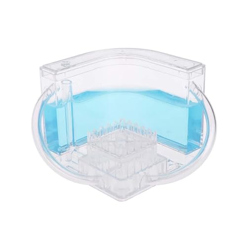 Ant Farm Ant Works Farm Castle transparentes Plastik Ameisenhaus für Kinder Bildungsspielzeug (Blau), Ameise Works Castle von XJKLBYQ